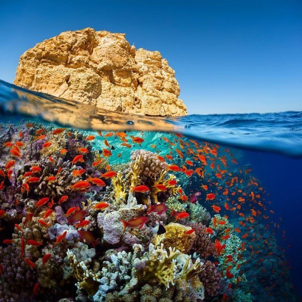 aqaba-diving_0