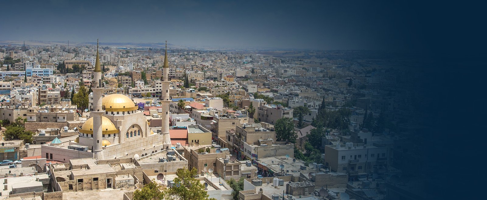 d6cd139b-601c-41b7-bd4a-931ff6c60d8a